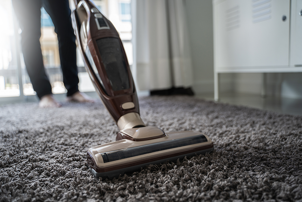 A picture of FAQ: How Vacuuming Helps with Pests, Allergies, Odors & More with Edison Vacuums