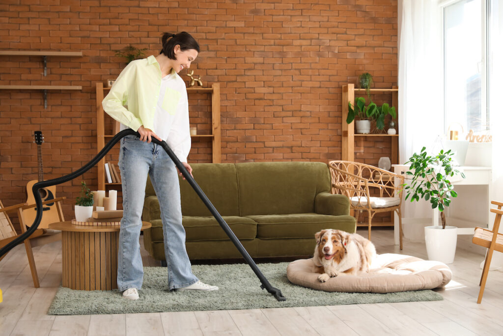 A picture of Central Vacuum Systems For Homeowners with Edison Vacuums