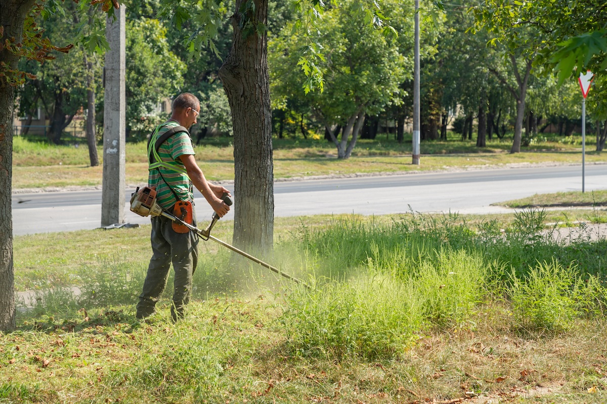 A picture of How Your Vacuum Can Help With Nashville's Allergy Season with Edison Vacuums