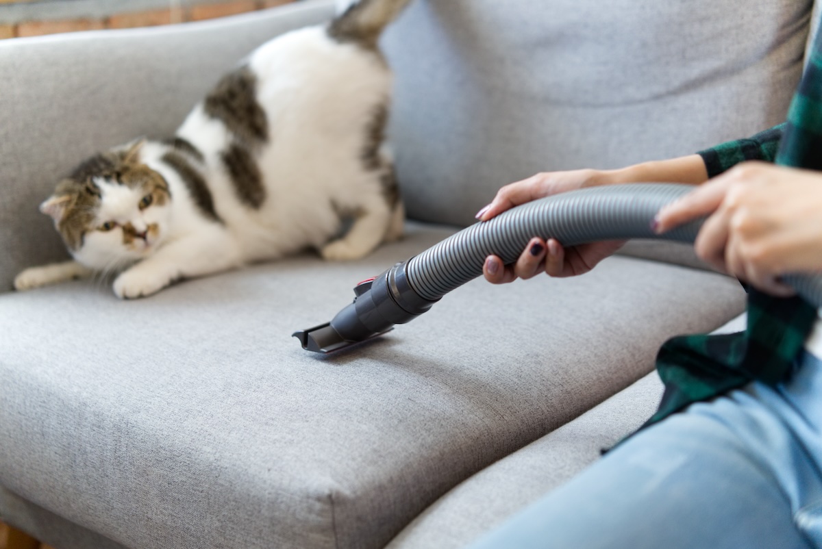 A picture of How Your Vacuum Can Help With Nashville's Allergy Season with Edison Vacuums