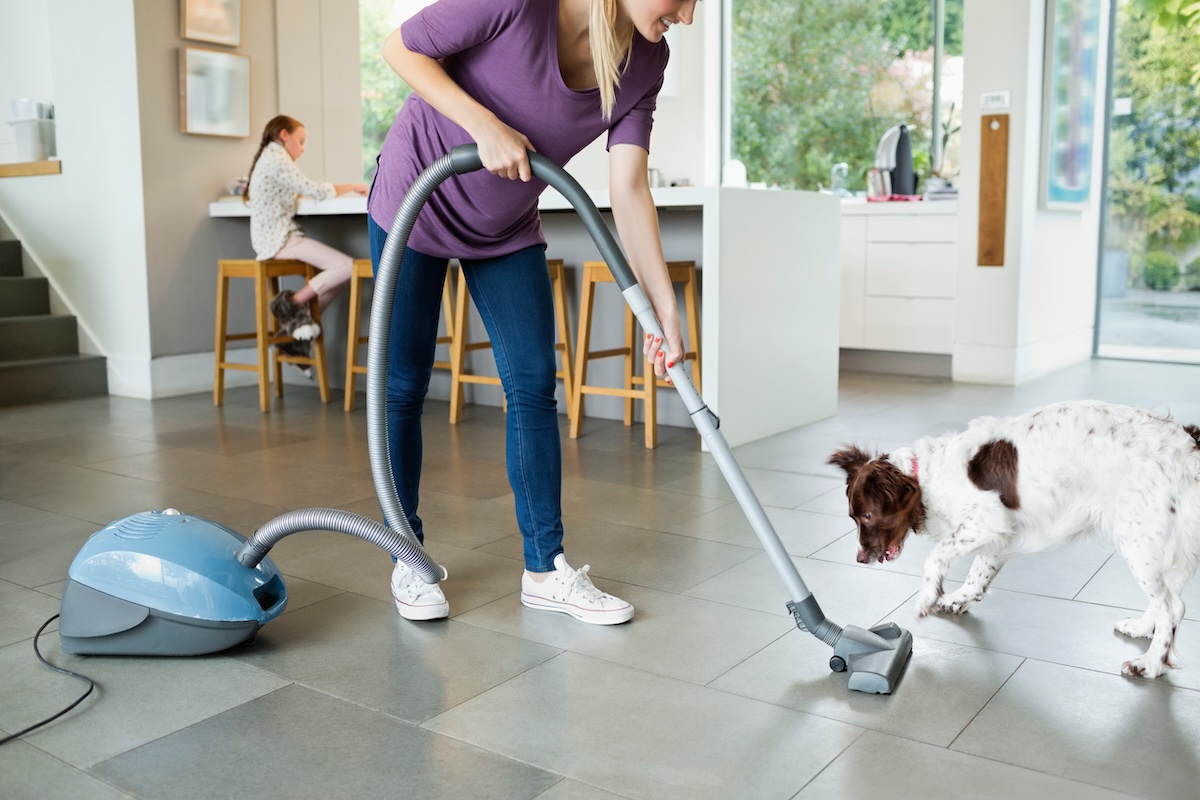 A picture of How to Choose a Vacuum When You Have Pets with Edison Vacuums