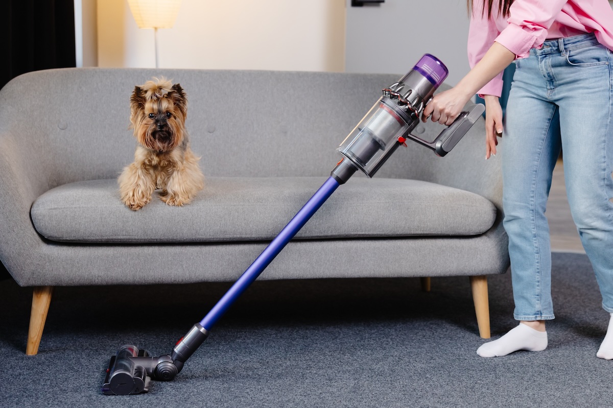A picture of Best Vacuums for Pet Hair with Edison Vacuums