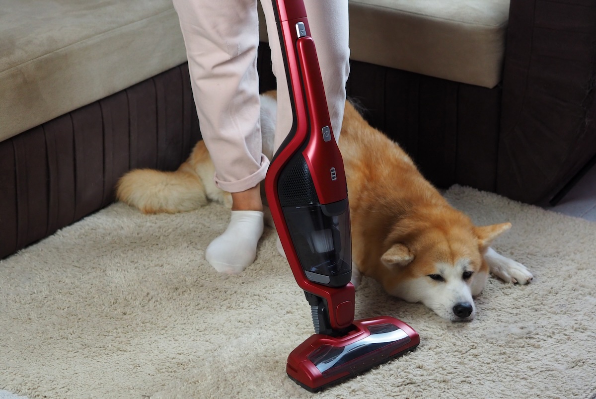A picture of Why Are Some Vacuum Cleaners Louder Than Others? with Edison Vacuums