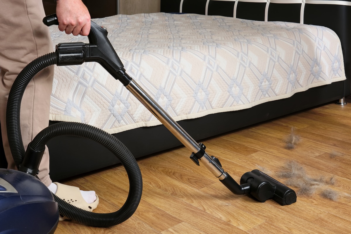 A picture of Bagged vs. Bagless Vacuums for Pet Hair with Edison Vacuums