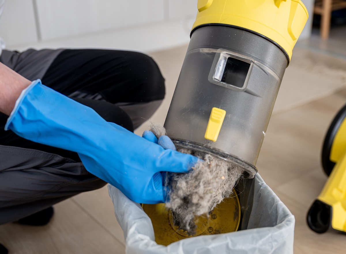 A picture of Do You Need a HEPA Vacuum for Allergies? Sealed Filtration Explained with Edison Vacuums